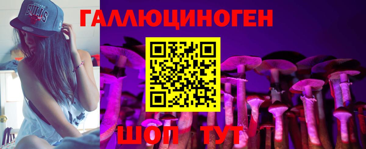 Стрежевой  Псилоцибиновые грибы Psilocybe  Вход с VPN 